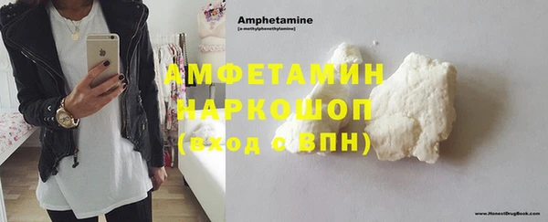 шишки Мегион