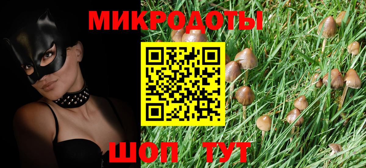 Кинель  Галлюциногенные грибы мицелий  Вход с VPN 