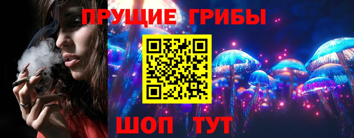 Псилоцибиновые грибы мухоморы  Кинель  Псилоцибиновые грибы мицелий 