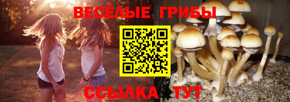 Галлюциногенные грибы MAGIC MUSHROOMS Кинель