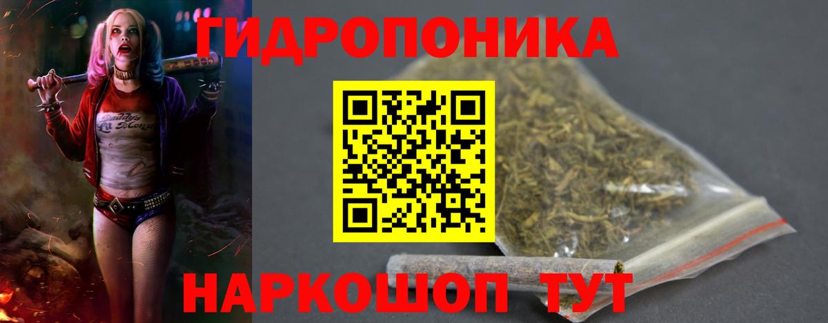 Бошки Шишки ГИДРОПОН  Марихуана семена  Шишки марихуана план  Кинель 